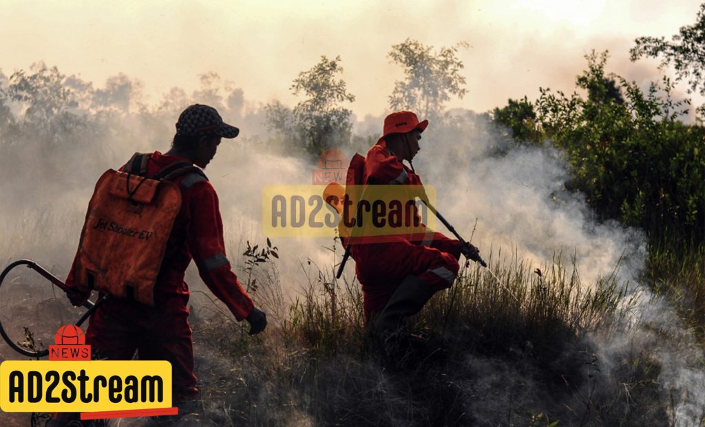 BNPB Memadamkan kebakaran hutan