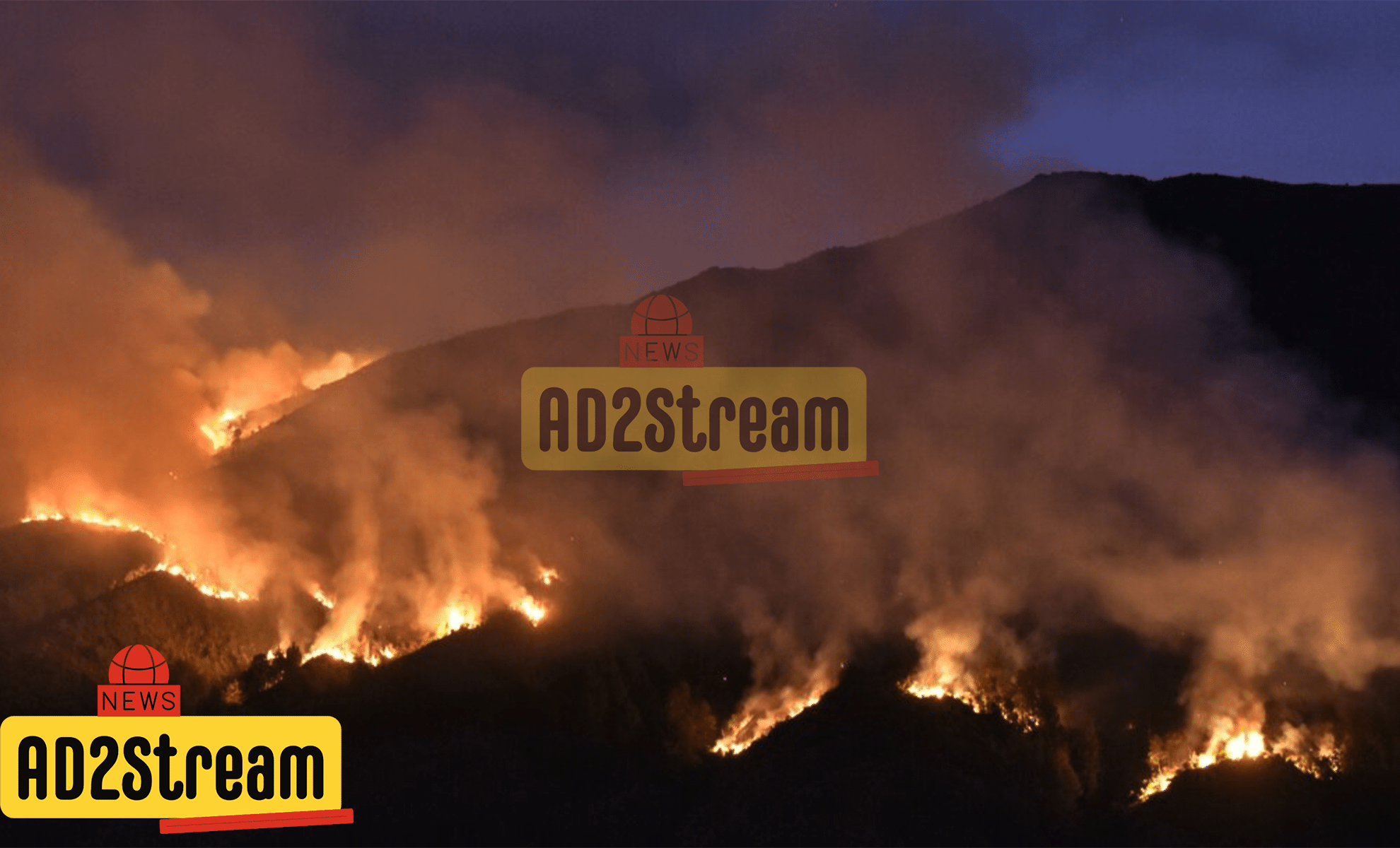 kebakaran bromo