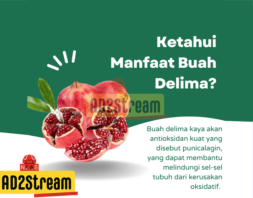 manfaat buah delima