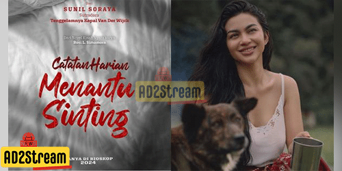 Film Bioskop Indonesia Catatan Harian Menantu