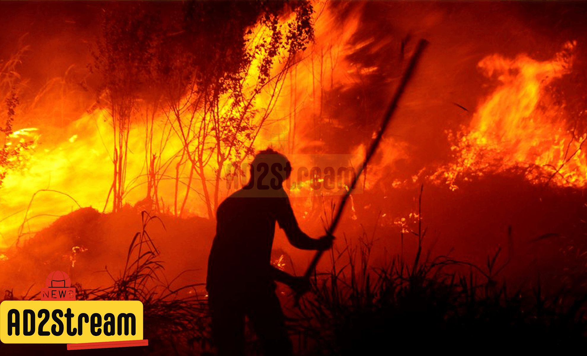 Pemerintah Himbau Masyarakat, Menghentikan Pembakaran Hutan