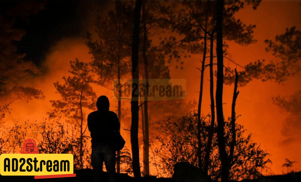 Pemerintah Menginfokan Dampak Negatif Pembakaran Hutan