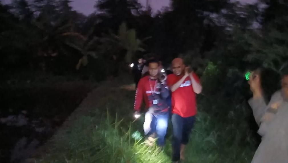 Pencurian Talas di Bogor Barat: Pemilik Kebun Jadi Tersangka