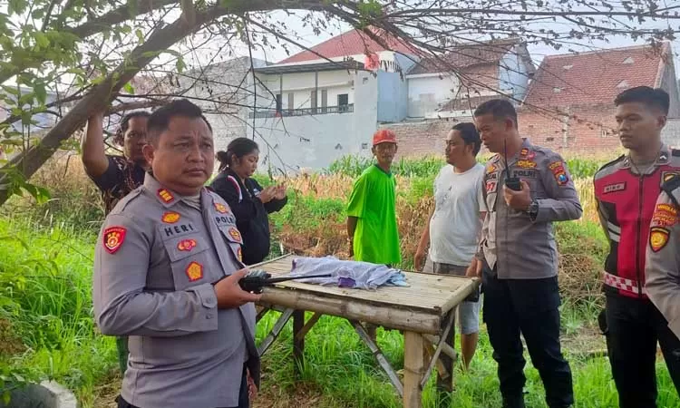 Bayi Dibuang di Probolinggo, Tewas Diduga Dimakan Hewan Buas