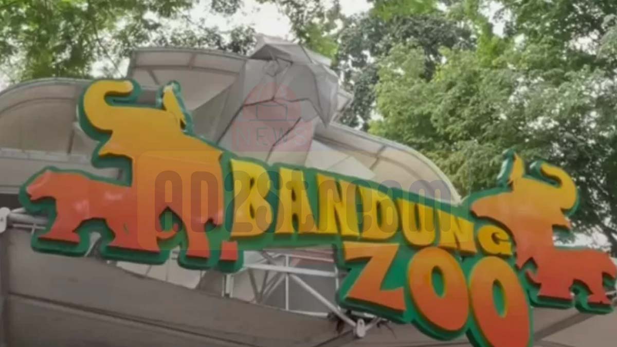 Libur Tahun Baru Bandung Zoo Ramai Sejak Pagi Tadi